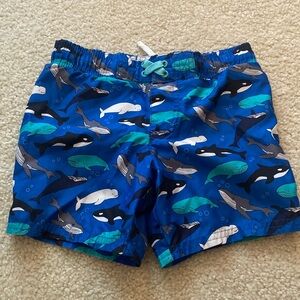 Whale swim trunks